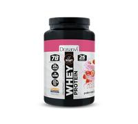 SPORT LIVE Concentrado de proteinas de suero de leche | Whey Protein en polvo con L-Glutamina y L-Leucina | Ayuda a aumentar tu masa muscular | Mejora tus batidos |Yogur-Fresa | 750 GR