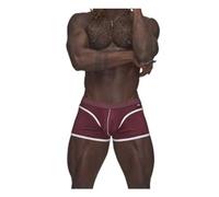 Sport Mesh Mini Short