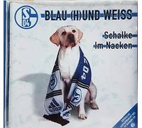 SPORT / VEREINSHYMNEN ETC. Compilation - Schalke 04 - Blau (H)Und Weiss - Schalke Im Nacken