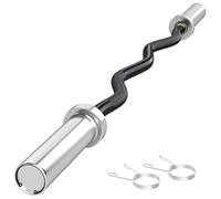 SPORTNOW Barra de Pesas de Acero 120 cm 8 kg Barra Curl EZ Ø50 mm con 2 Presillas Carga 100 kg Barra Olímpica para los Discos de Ø5 cm Entrenamiento en Gimnasio Casa Negro y Plata