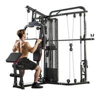 SPORTNOW Estación de fitness con pesos de 65 kg, barra de mariposa, banco preacher ajustable, entrenador de piernas, multifunción, hasta 120 kg, dispositivo de fitness para el hogar