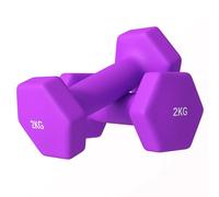 SPORTNOW Juego de 2 mancuernas hexagonales y antideslizantes de 2 kg para entrenamiento, pesas de gimnasia de metal y plástico, 16x7,5x7,5 cm, morado