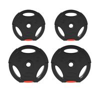 SPORTNOW Juego de Discos Pesas de 4 Piezas Discos de Pesas Total 30 kg 2x10 kg 2x5 kg con Orificios de 25 mm para Mancuernas Barras Entrenamiento Casa Gimnasio