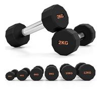 SPORTNOW Juego de mancuernas, par de pesas de mano con forma de 12 lados y agarre antideslizante para hombres y mujeres, entrenamiento de gimnasio en casa, 2 x 2 kg