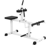 SPORTNOW Máquina de Gemelos Sentada Regulable para Entrenamiento de Piernas Cintura y Brazos Gimnasio en Casa Blanco Aosom España