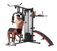 SPORTNOW Máquina Multiestación Musculación Ajustable 225x175x200 cm Negro | para Casa, Multiestación de Musculación, con Placas de Peso 45 kg, para Fitness Entrenamiento en Gimnasio Hogar