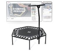 SportPlus Fitness Trampolin SP-T-1100-A Anthrazit/Grau
