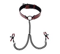 Sportsheets Cadena con Pinzas para Pezones