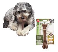 SPOT Bam-Bones Bone - Hecho con fibra de bambú fuerte, masticable duradero para perros masticadores ligeros a moderados, gran juguete para perros adultos y cachorros de dentición de menos de 40 libras