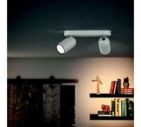 Philips Sala de estar Foco de techo/pared Pongee 2x