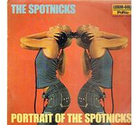Spotnicks - Portrait of / Vinyl record [Vinyl-LP]