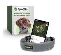 SpotOn GPS Fence Pequeño, Omni