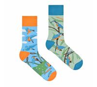 Spox Sox - calcetines coloridos, divertidos y extravagantes - un regalo divertido, 40-43, Martín Pescador