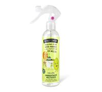The Fruit Company Spray Ambientador Melón Multiusos | Precio, Comprar