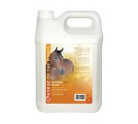 Spray antiinsectos para caballos Horse Of The World Summer 5 L