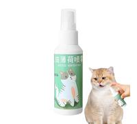 Spray Cat Nip que realmente funciona - 50 ml spray de hierba gatera, spray de perfume de hierba de menta, inductor de juguete para gatos (patrón de embalaje aleatorio)