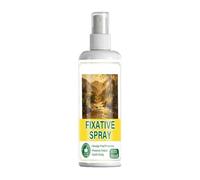 Spray fijador para pintura pastel, 100 ml, protección de imagen, fijador pastel, para aceite, carbón, gouache, papel pintado acrílico, pintura artesanal
