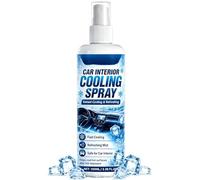 Spray Frío Interior Coche 100ml Frío Instantáneo De Larga Duración
