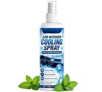 Spray Frío Interior Coche 100ml Frío Instantáneo Y Duradero