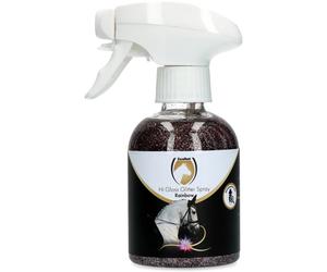 Spray Glitter 'Excellent Horse Hi Gloss Glitter Spray' - Arcoíris Excellent Horse