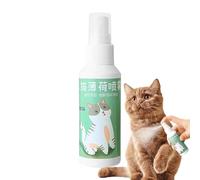 Spray para gato, gato natural para | Aumento de la duración del juguete, de la y 'amante de los Catnip Safe & no dependiente, alta potencia de gato de 50 ml para juguetes por g