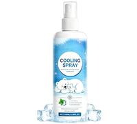 Spray Refrescante Para La Ropa,100ml Niebla De Secado Rápido - Niebla De Efecto Refrescante,Para Los Días Calurosos De Verano, Deportes, Fitness, Camping, Viajes Y Trayectos Cotidianos
