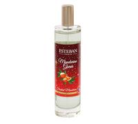 Spray vaporizador perfume ambiente navideño Mandarina helado 75 ml Esteban Paris