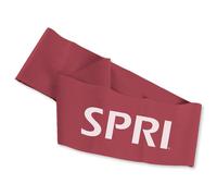 SPRI Flat Band Loop Bandas Elasticas Medio