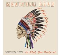 Spring 1990: So Glad You Made It [Vinilo]