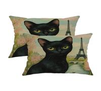 Spring Bombays - Juego de 2 fundas de almohada de terciopelo de 12 x 20 pulgadas, cómodas fundas de almohada románticas con estampado de torres románticas con cremallera, patrón de mascotas