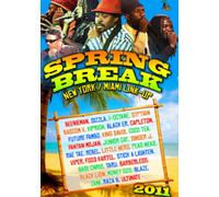 Spring Break 2011 [Reino Unido] [DVD]