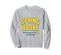Spring Broke - Divertida economía de Vacaciones de Primavera Sudadera