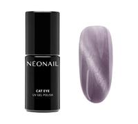 SPRING COLLECTION Lavender Rise