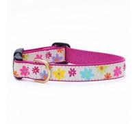 Spring Fever Collar M Collar para Perro