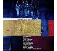 Spring Heel Jack - Amassed