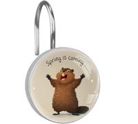 Spring is Coming - Juego de 12 ganchos para cortina de ducha con diseño de ardilla, anillos de cortina de ducha inoxidables para barra de cortina, ganchos de ducha para dormitorio, baño, decoración