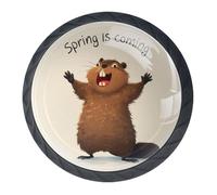 Spring is Coming - Juego de 4 tiradores decorativos para gabinetes y cajones de cocina, para sala de estar, baño, muebles y armarios modernos