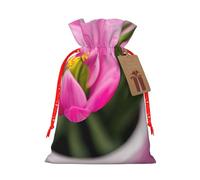 Spring Is In The Air - Bolsas de regalo de Navidad con cordón, bolsas reutilizables para decoración de Navidad