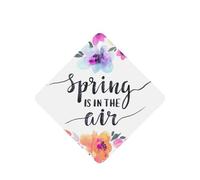 Spring Is In The Air Printing - 10 hojas aromáticas para ambientador de coche, accesorios para colgar en el coche con cuerdas para decoración