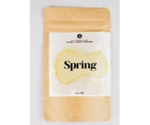 SPRING recarga dentifrico limon 120gr. ECO VEGAN