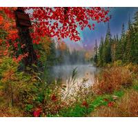 Springbok El rompecabezas de 1000 piezas de Early Dawn on The Lake para adultos te trae a un relajante escape junto al lago