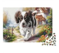 Springer Spaniel Heavyweight Paper Spaniel on Mat in Garden Jigsaw Puzzle Interactive Relaxing Activity 52x38cm/1000pcs
