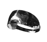 Springer Spaniel inglés,Banda Deportiva para el Sudor Unisex, Multiusos, elástica para el Pelo