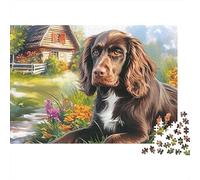 Springer Spaniel Puzle 1000 Piezas - Reto para Mentes Inquietas, Encaje Preciso, Decoración, 70x50cm/1000pcs