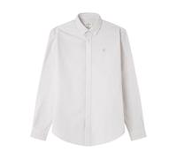 Springfield Oxford Clásico De Rayas con Bordado De Árboles, Beige, XL