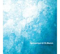 Springintgut & F.S. Blumm - The Bid And White Noise