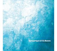 Springintgut & F.S.Blumm - The Bird and White Noise [Vinilo]