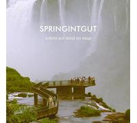Springintgut - Where We Need No Map [Vinilo]