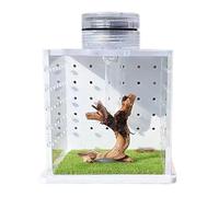 Springspinnengehege, Spinnenkäfig,Transparentes Schildkrötenbecken - Habitat-Terrarium für Gottesanbeterinnen, Zuchtbox mit Lichtbefeuchter für Springspinnen, Kleine baumbewohnende Reptilien