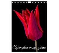 Springtime in my garden (Wall Calendar 2026 DIN A4 portrait), CALVENDO 12 Month Wall Calendar: Photo of my flowers